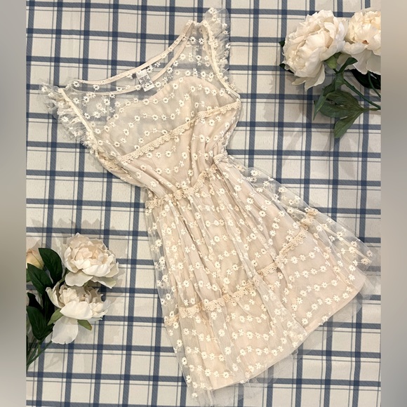 ‘Pinky’ Cream Floral Embroidered Tulle Dress - Picture 2 of 4